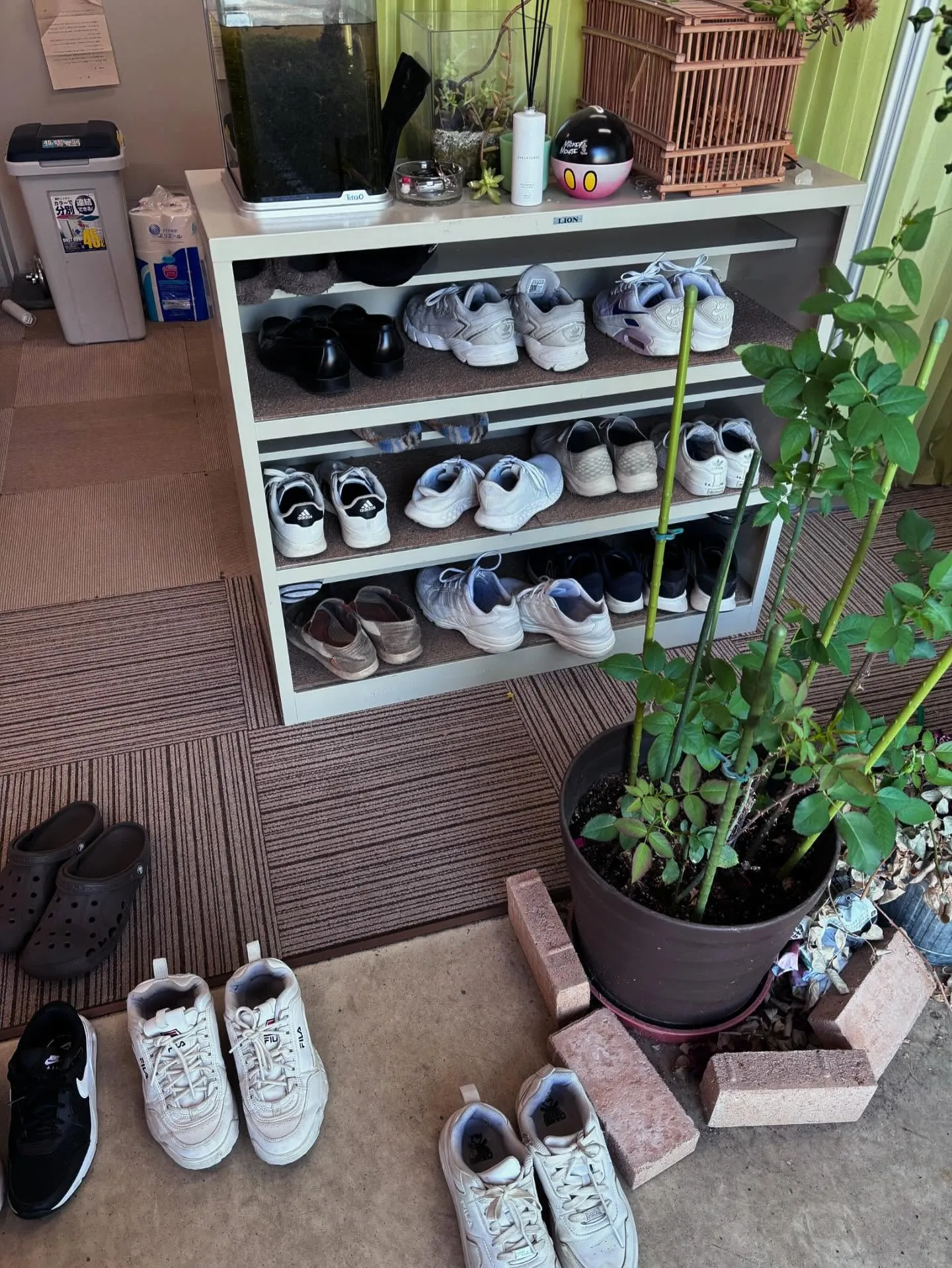 2005 中3第一回赤中定期テスト